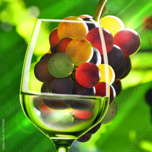 Foto: Wein Wein