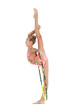 grace gymnastics