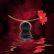 Equilibre zen, fond noir