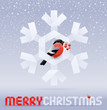 Christmas bullfinch with rowan sitting on snowflake