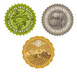 Hand drawn vector vintage labels  - viticulture and winemaking