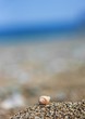 Urlaub
