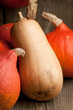 Group of pumpkins Group of pumpkins