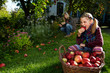 Foto: girl at the basket filled with apples girl at the basket filled with apples