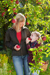 Foto: mother and daughter beneath the apple tree mother and daughter beneath the apple tree