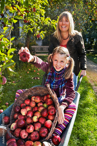 Foto: mother pushing daughter and apples in the barrow mother pushing daughter and apples in the barrow