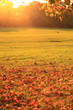Autumn sunset Autumn sunset