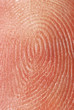 fingerprint