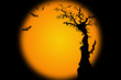 Hallowwen background illustration with bat tree Hallowwen background illustration with bat tree
