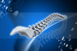 human spine