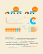 infographics as a business record development of the company