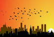 city background with flying birds