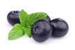 Blueberry with mint