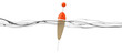 Flotteur de pêche à la surface 1