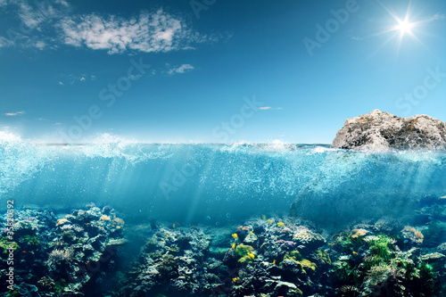 Photo: Diving Diving
