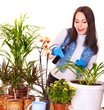 Woman looking after houseplant