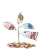 Planter de la monnaie.