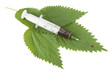 Syringe with medicine on green leaves isolated on white