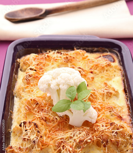 Photo: gratin gratin