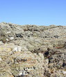 rochers et bigorneaux