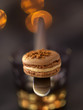 Macaron au foie gras 