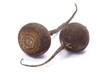 black radish