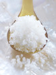 Cuillères de fleur de sel de Guérande