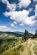 Summer mountain ridge-Jeseniky hills-Czech Republic/Europe Summer mountain ridge-Jeseniky hills-Czech Republic/Europe