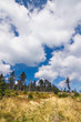 Summer forest and blue sky with amazing white clouds