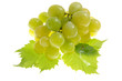grape isolated grape isolated