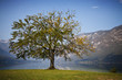Autumn at lake Autumn at lake