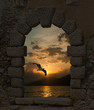 Sunset and seagull through the old castle