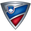 Steel shield with flag Slovenia Steel shield with flag Slovenia