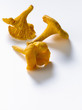 Girolles