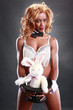 Sexy magician and her bunny act