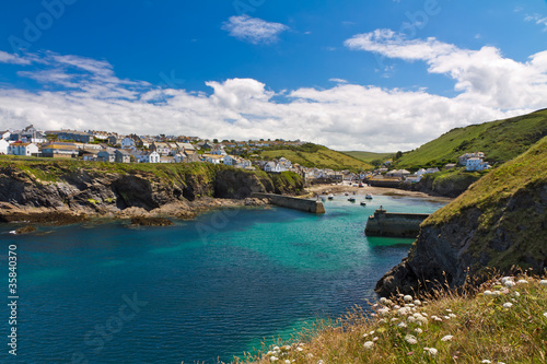 Foto: Cove and harbour of Port Isaac with white flowers, Cornwall Cove and harbour of Port Isaac with white flowers, Cornwall