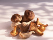 Assortiment de champignons  girolles cèpes et pleurotes