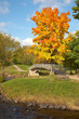 Bridge over the river Lososinka