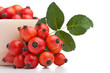 Rose hips (Rosa canina), close-up Rose hips (Rosa canina), close-up