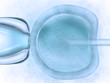 Künstliche Befruchtung - In-Vitro-Fertilisation