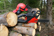 Logger equipment with cut trees Logger equipment with cut trees