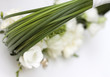 wedding bouquet