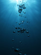 Bubbles undersea