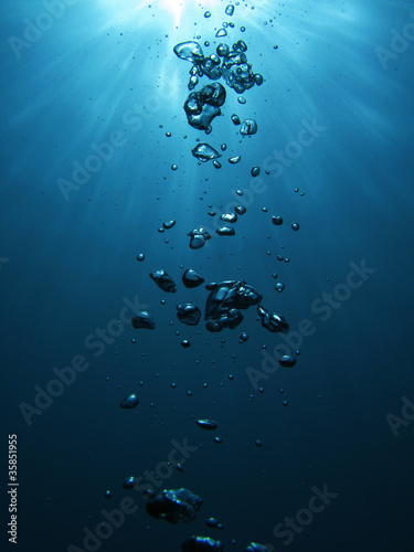 Photo: Bubbles undersea Bubbles undersea
