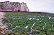 Etretat Etretat