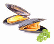 moules