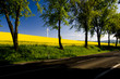 Photo: Windmill at the road Windmill at the road