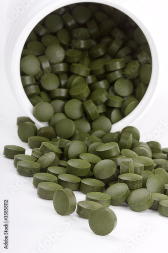 Photo: Pyrenoidosa, Vulgaris, Spirulina, Presslinge Pyrenoidosa, Vulgaris, Spirulina, Presslinge