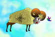 Illustration: Widder Widder