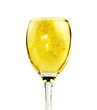 champagne glass